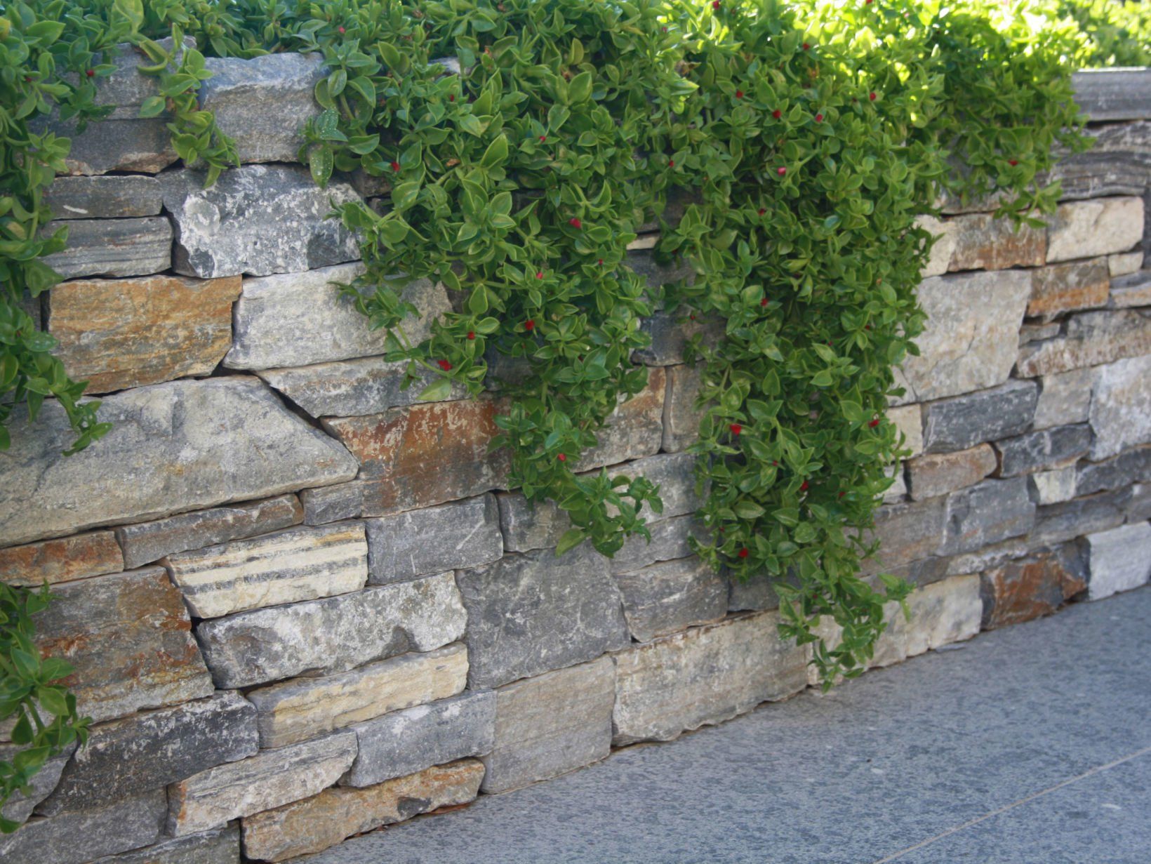 Stone cladding panel - bluestone