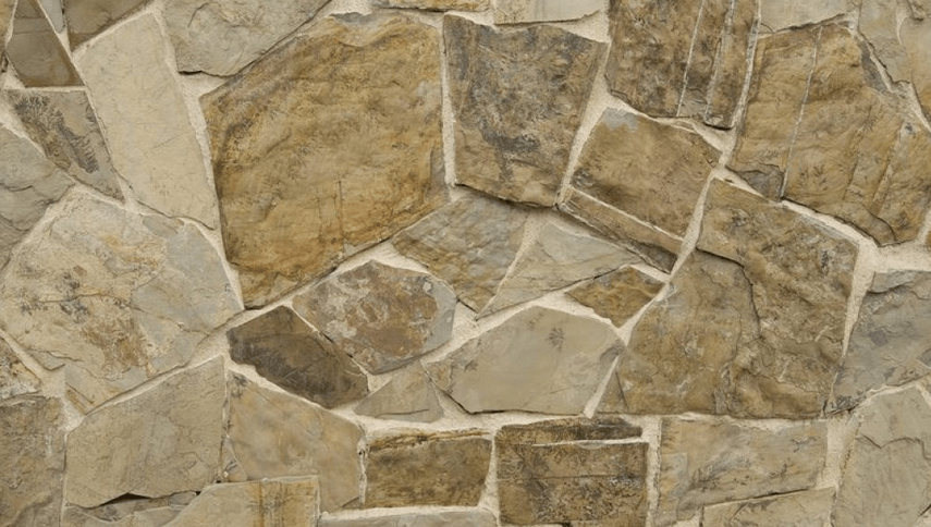 Random fern dendrite