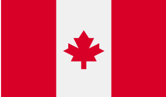 The canadian flag has a maple leaf on it.