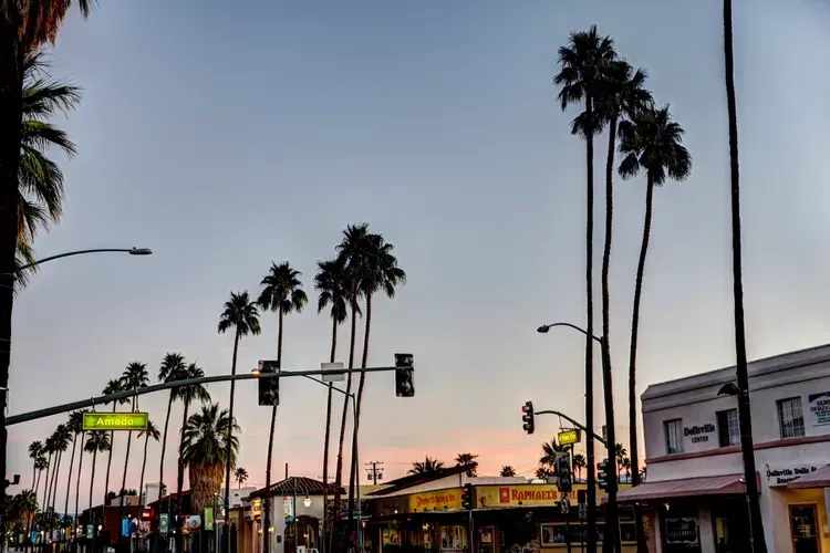 A row of palm trees are silhouetted against a sunset sky.
