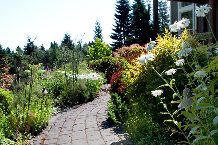 A path in a garden with flowers and trees on both sides