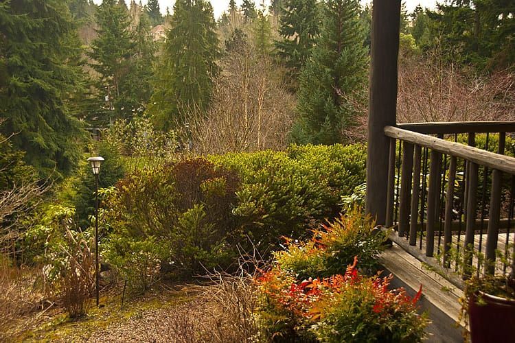 A balcony overlooking a forest with trees and bushes