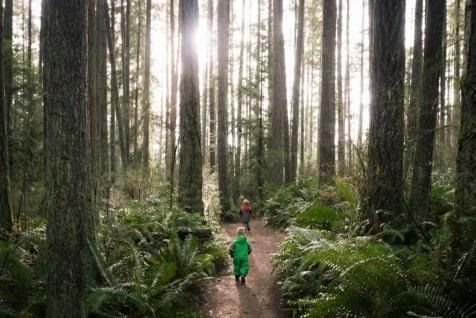 Two children are walking down a path in the woods.