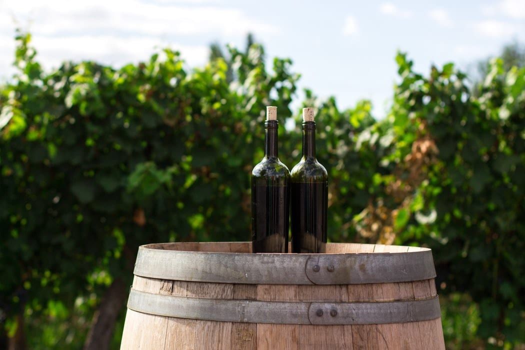 Two bottles of wine are sitting on top of a wooden barrel in a vineyard.