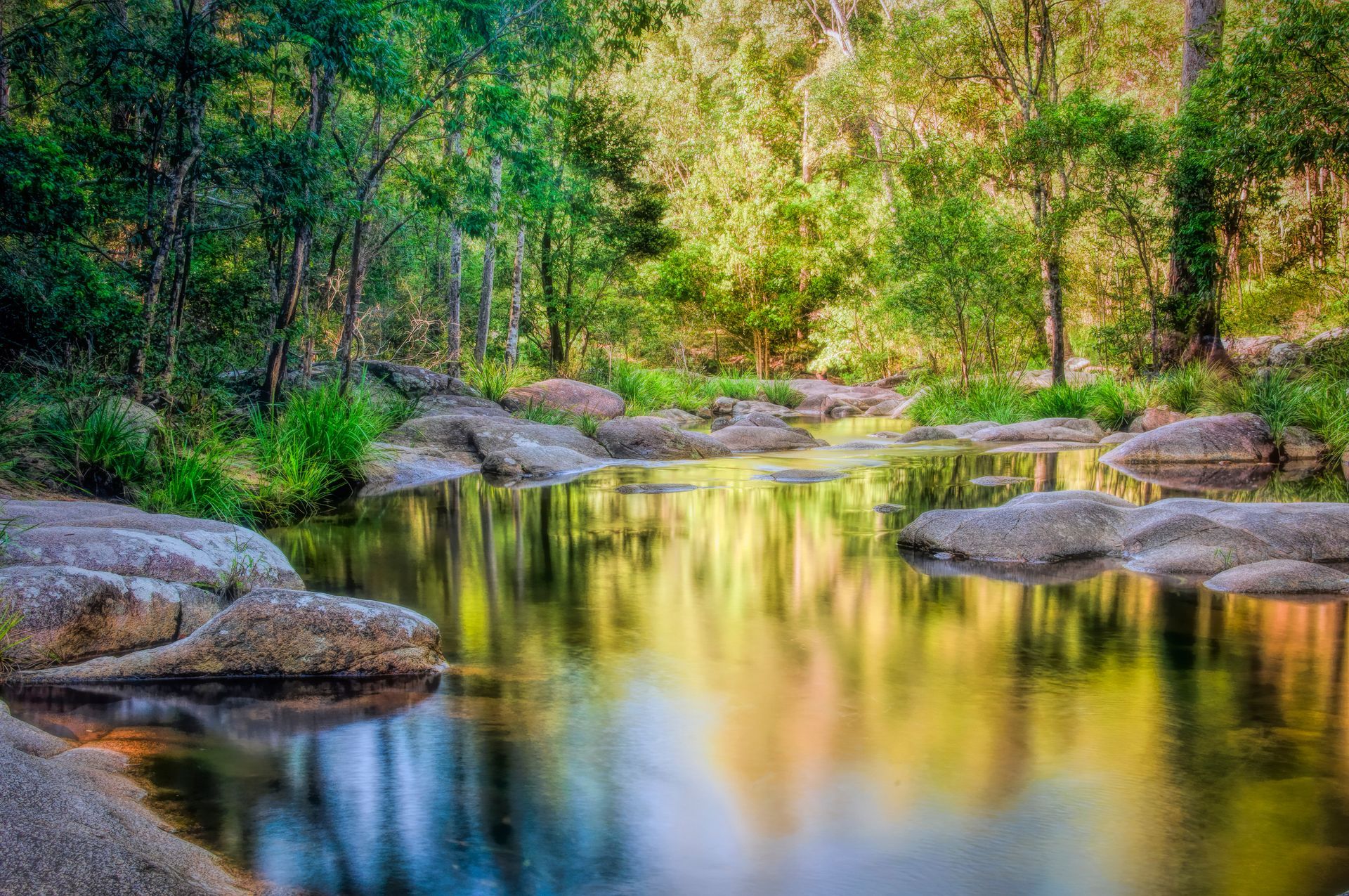 A river surrounded by trees and rocks in the middle of a forest.