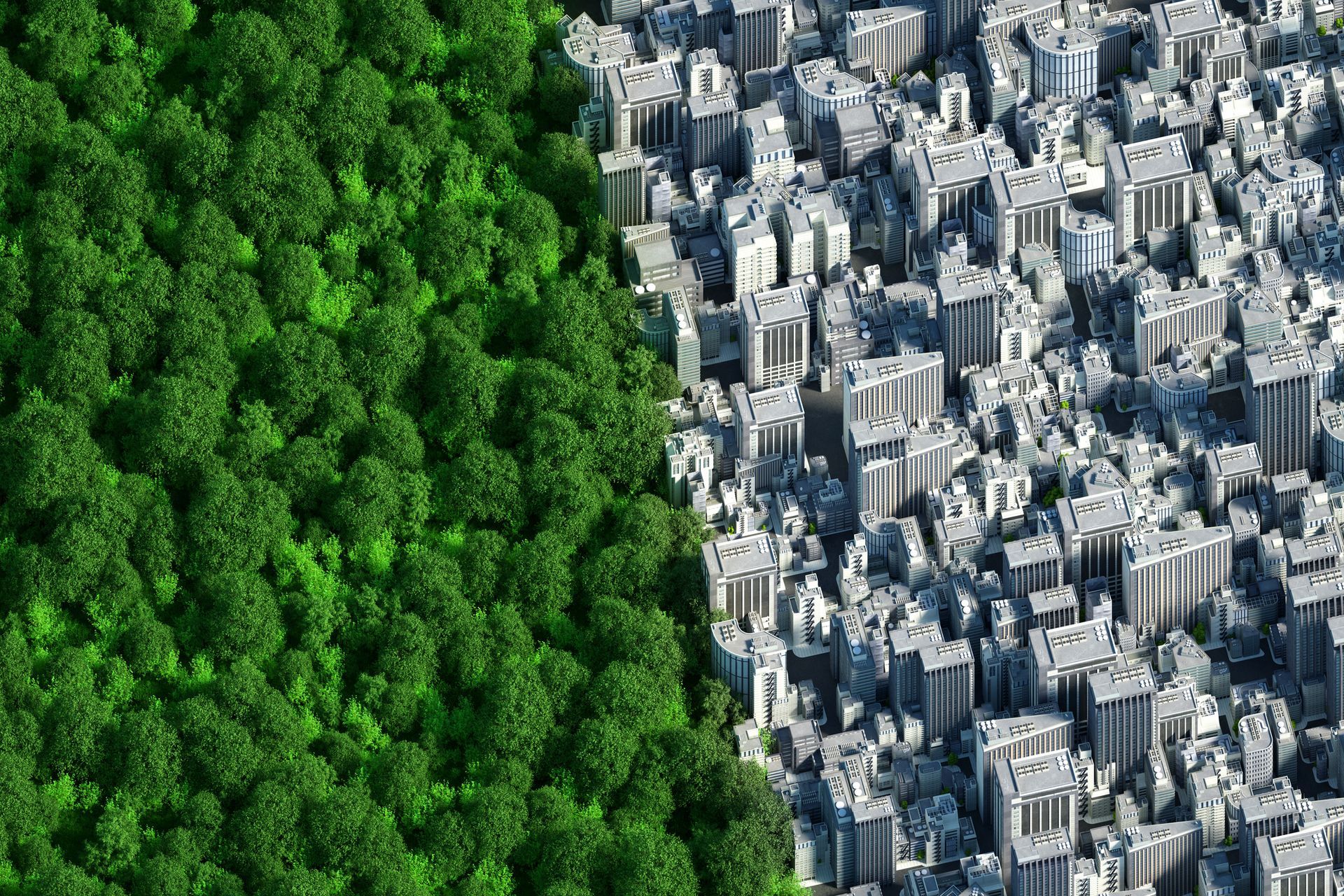 An aerial view of a city next to a forest.