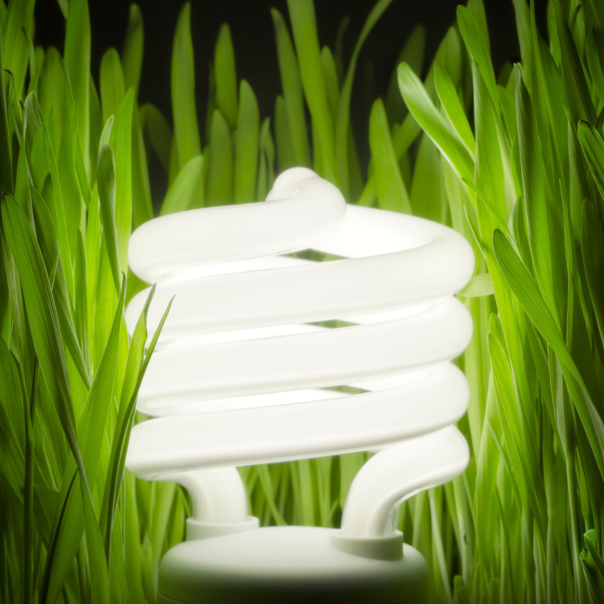 A spiral light bulb is surrounded by green grass
