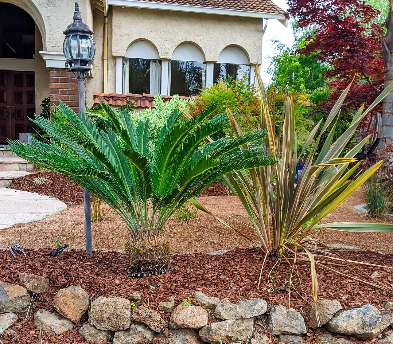 Drought Tolerant Front Yard — San Ramon, CA — Get It Done Gardening