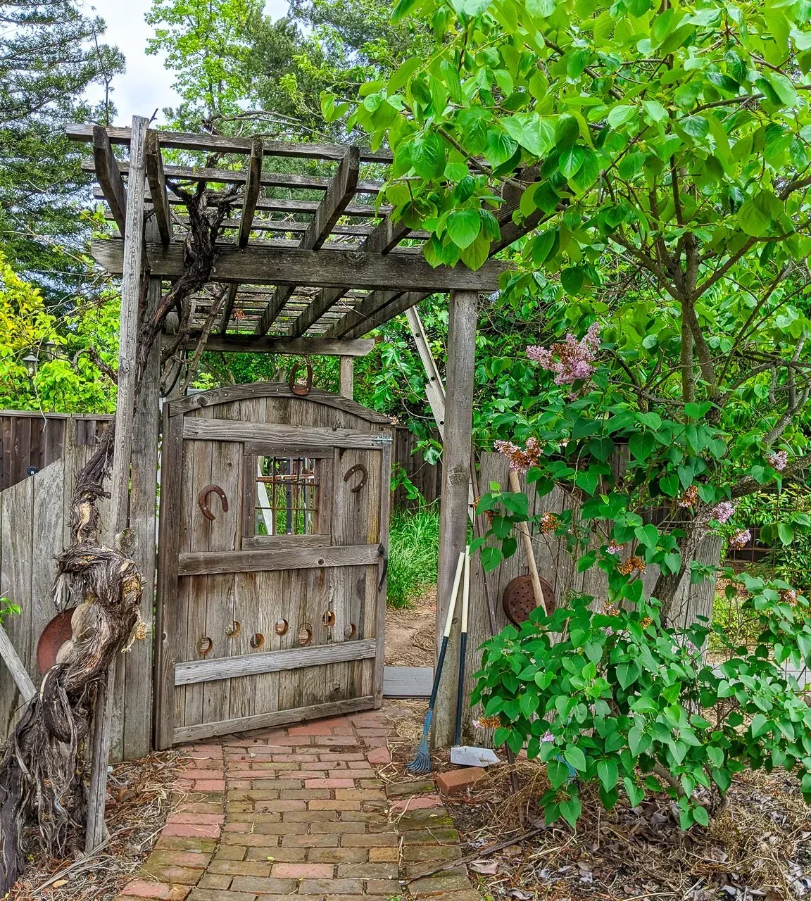 Rustic Wood Gate — San Ramon, CA — Get It Done Gardening