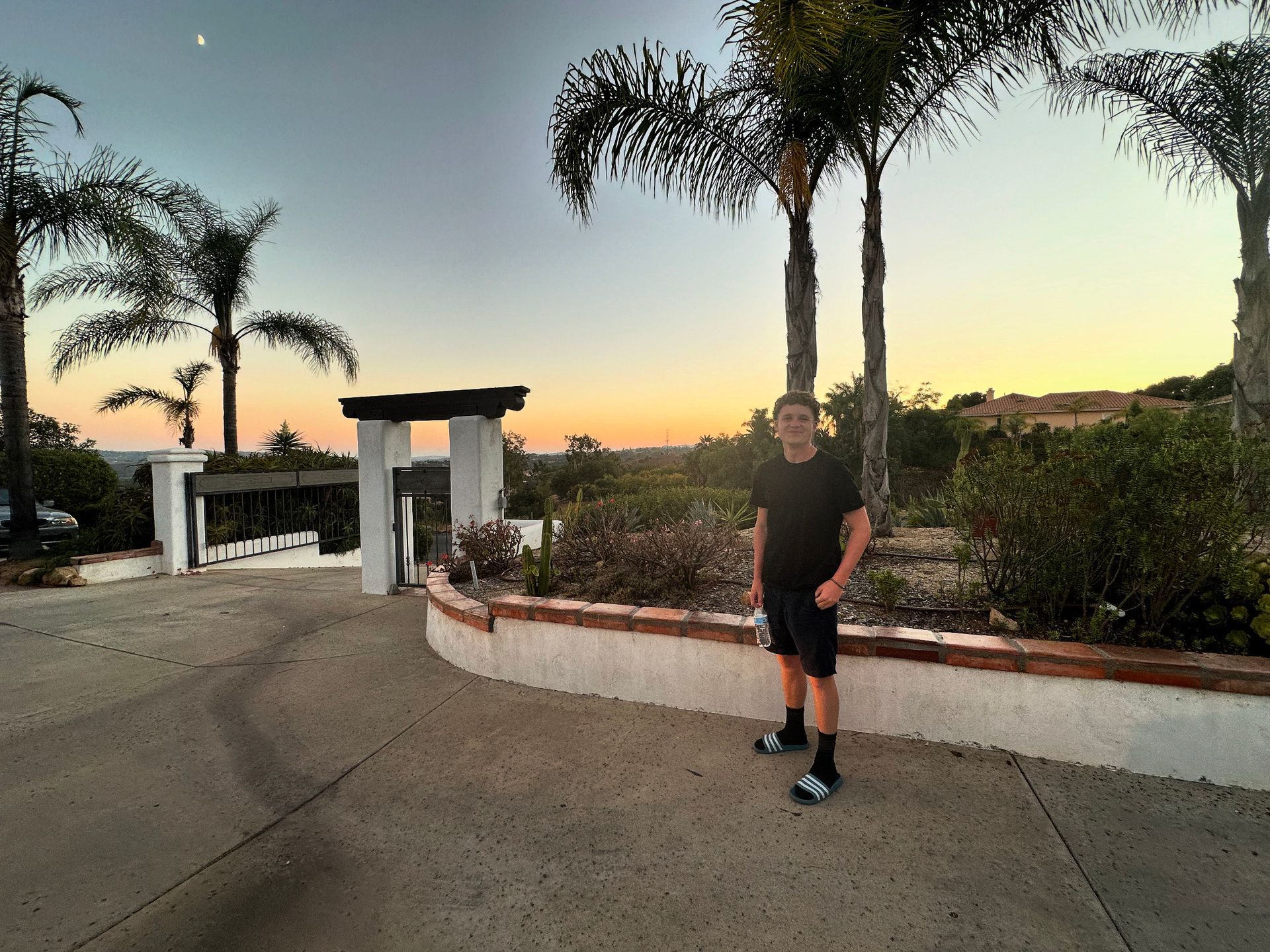 A man in a black shirt is standing in front of palm trees