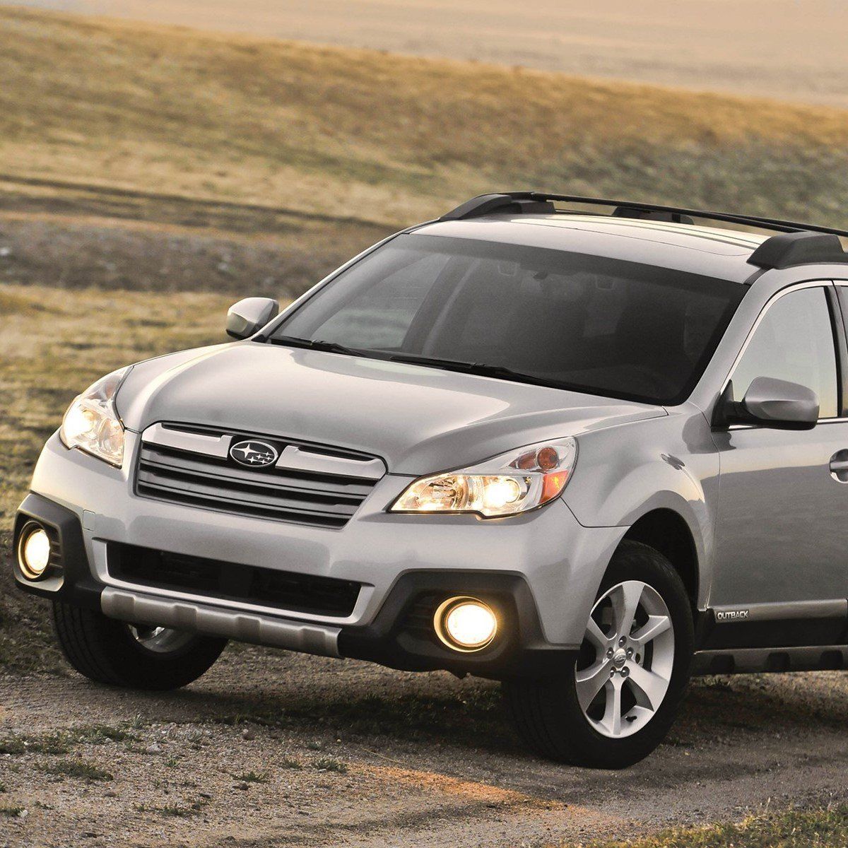 ace international host requirements