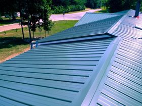 A green roof with a few trees in the background