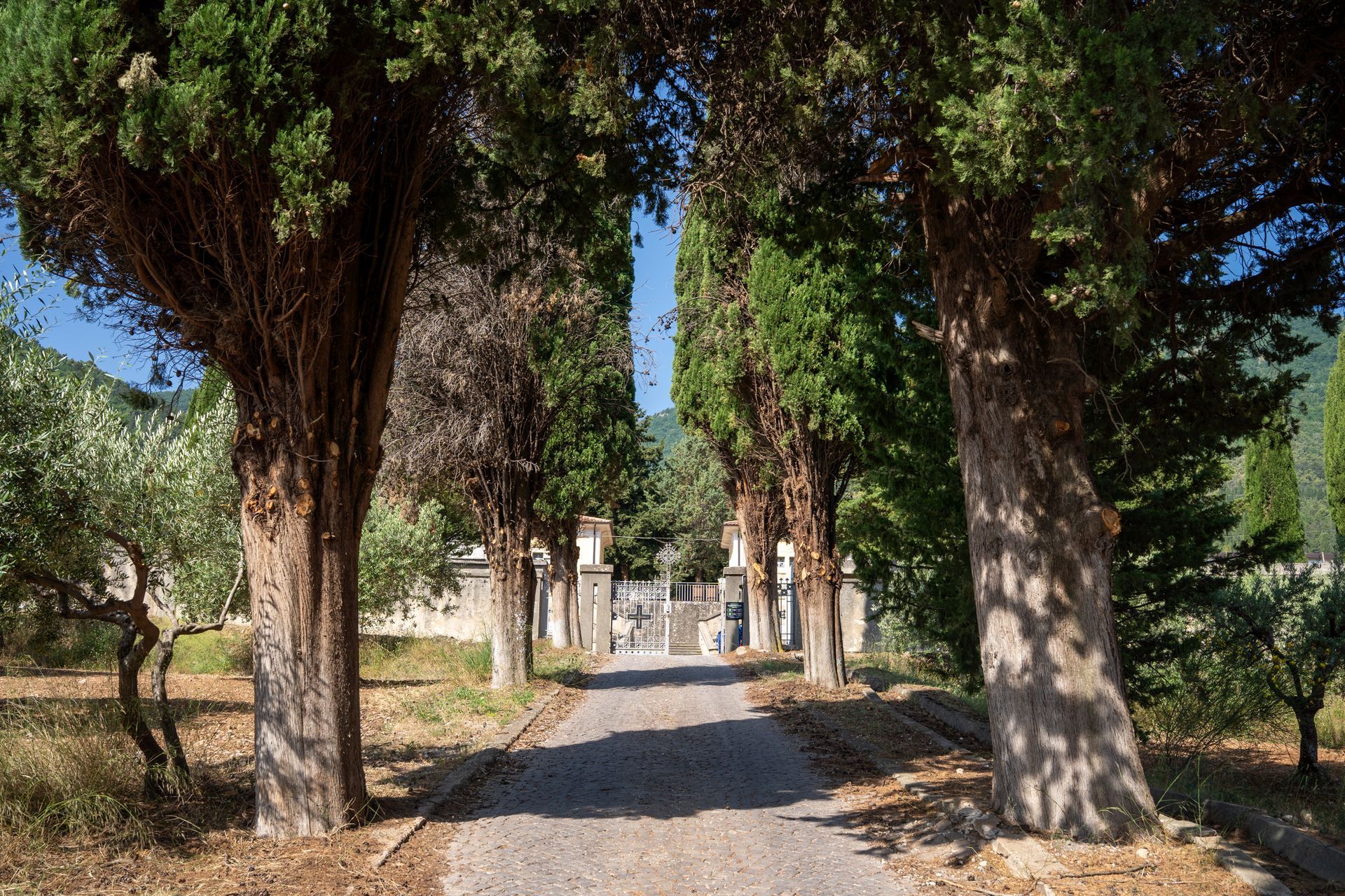cimitero morano calabro