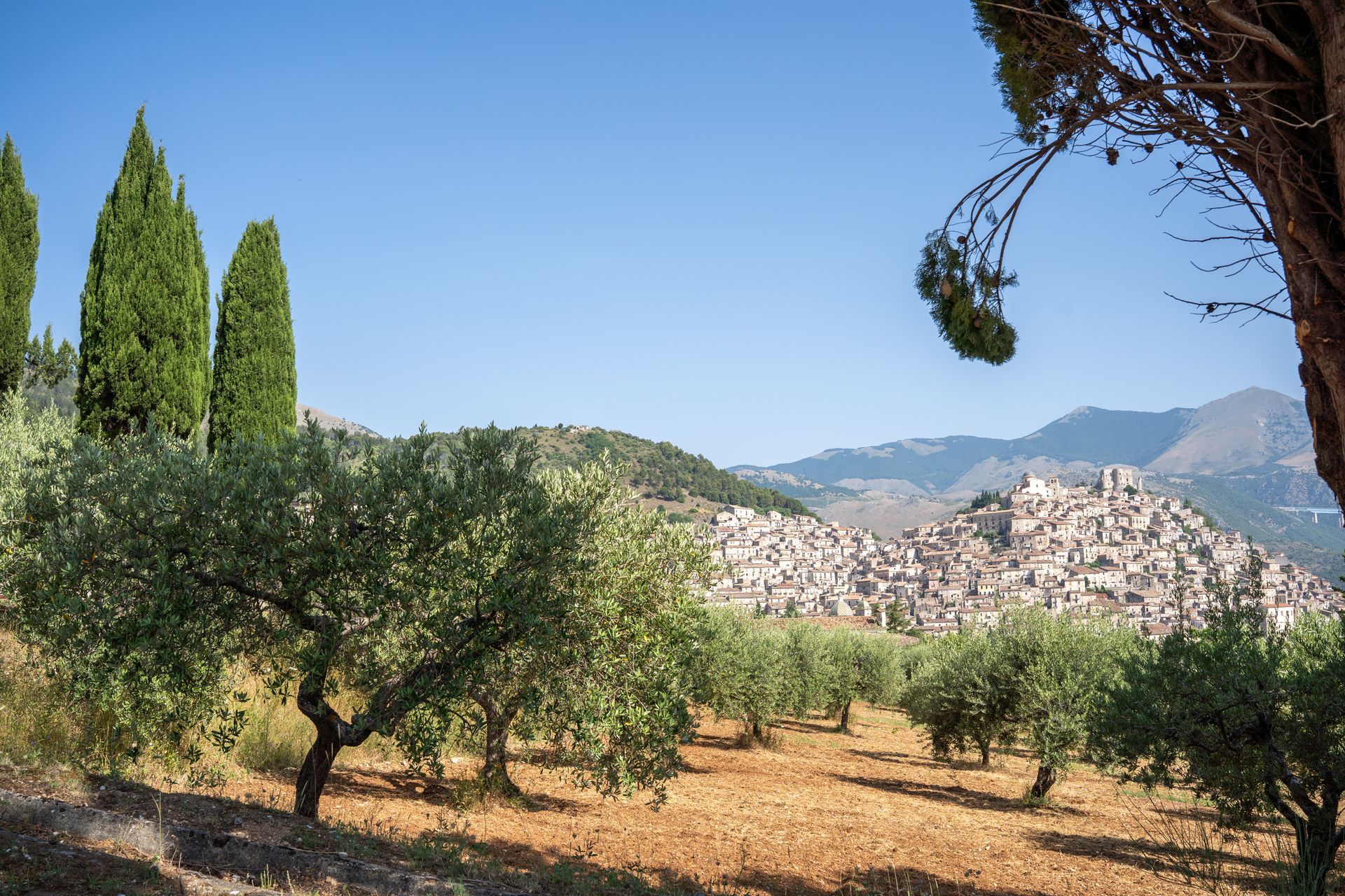 cimitero morano calabro