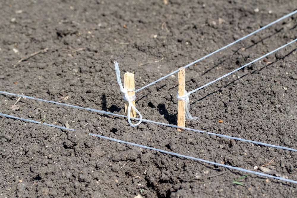Two Wooden Pegs Are Tied To A String In The Dirt — PGI North QLD In Rosslea, QLD