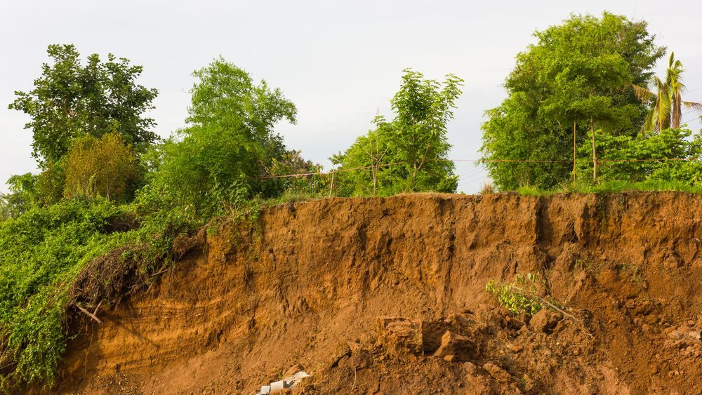 A Large Pile Of Dirt And Trees On A Hillside — PGI North QLD In Rosslea, QLD