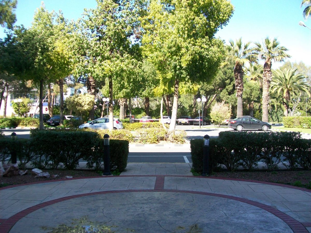 Uitzicht op een weg tussen bomen en heggen. Auto's rijden op een zonnige dag over de weg.