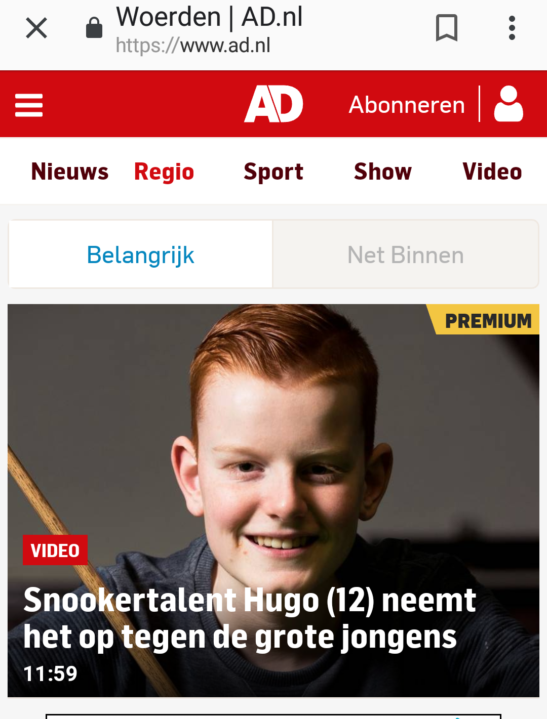 Een nieuwsartikel met een jonge jongen met rood haar die een snookerkeu vasthoudt. Tekst: 