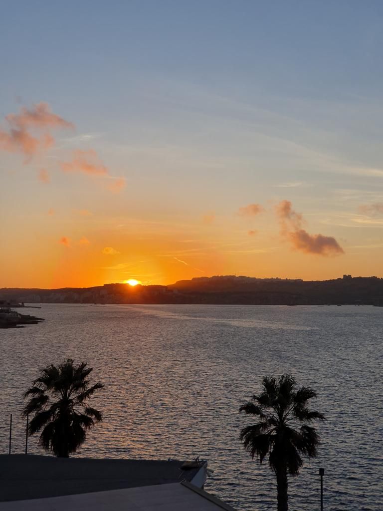 Zonsondergang boven een waterpartij met palmbomen op de voorgrond, die zich aftekenen tegen de lucht.