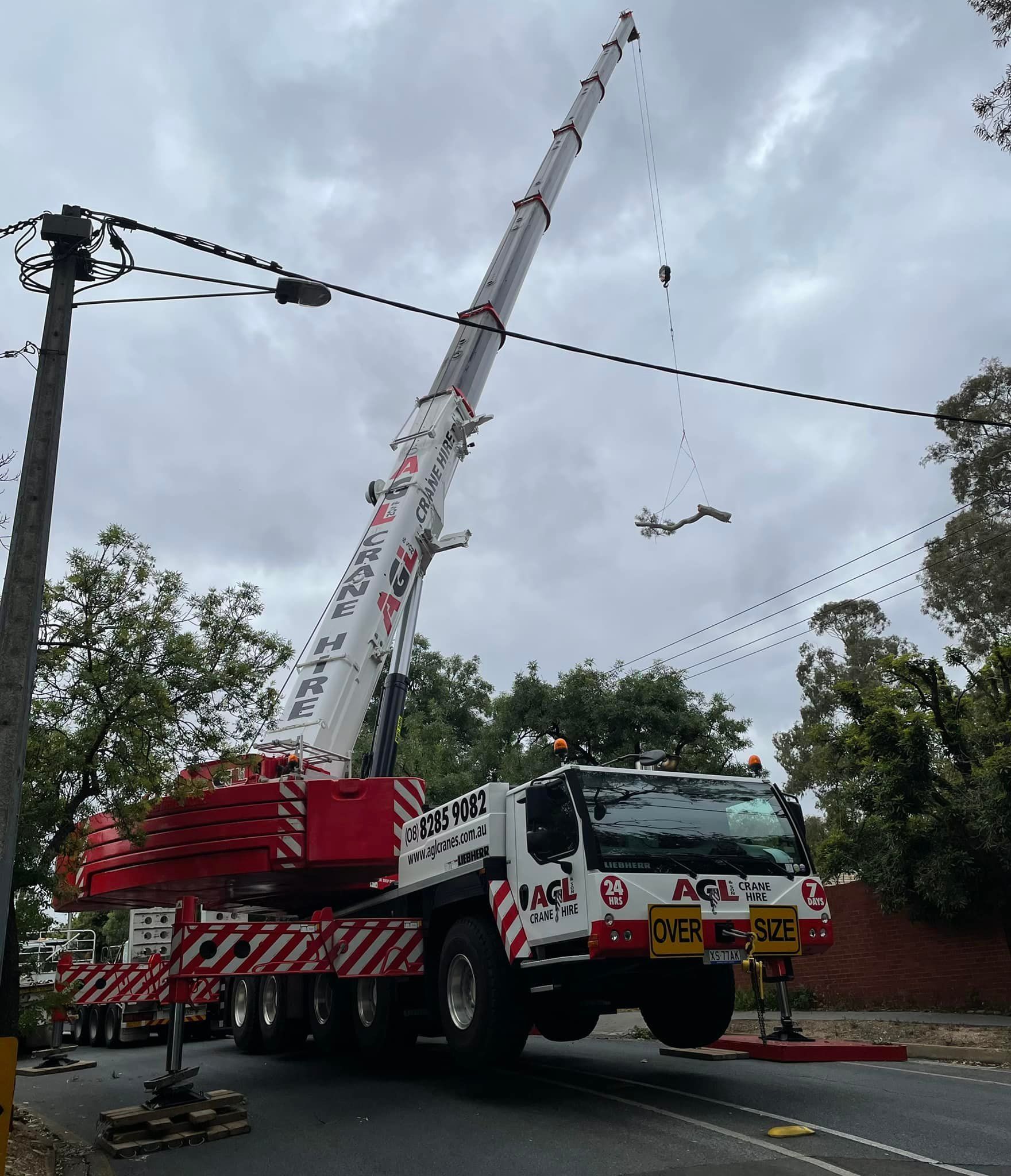 Tree Lifting and Movement — Adelaide, SA — AGL & Son Crane Hire