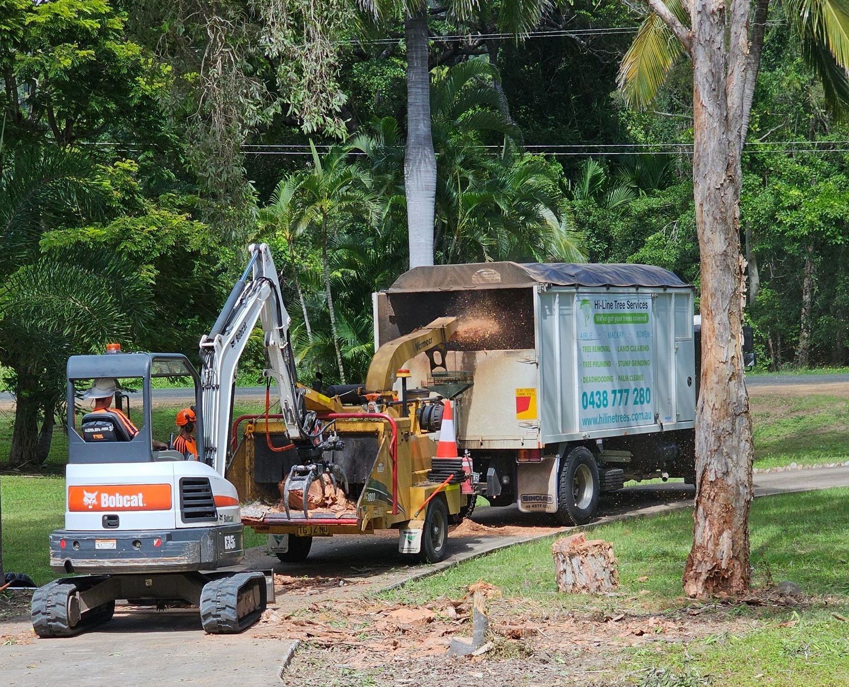 chipping and mulching tree waste