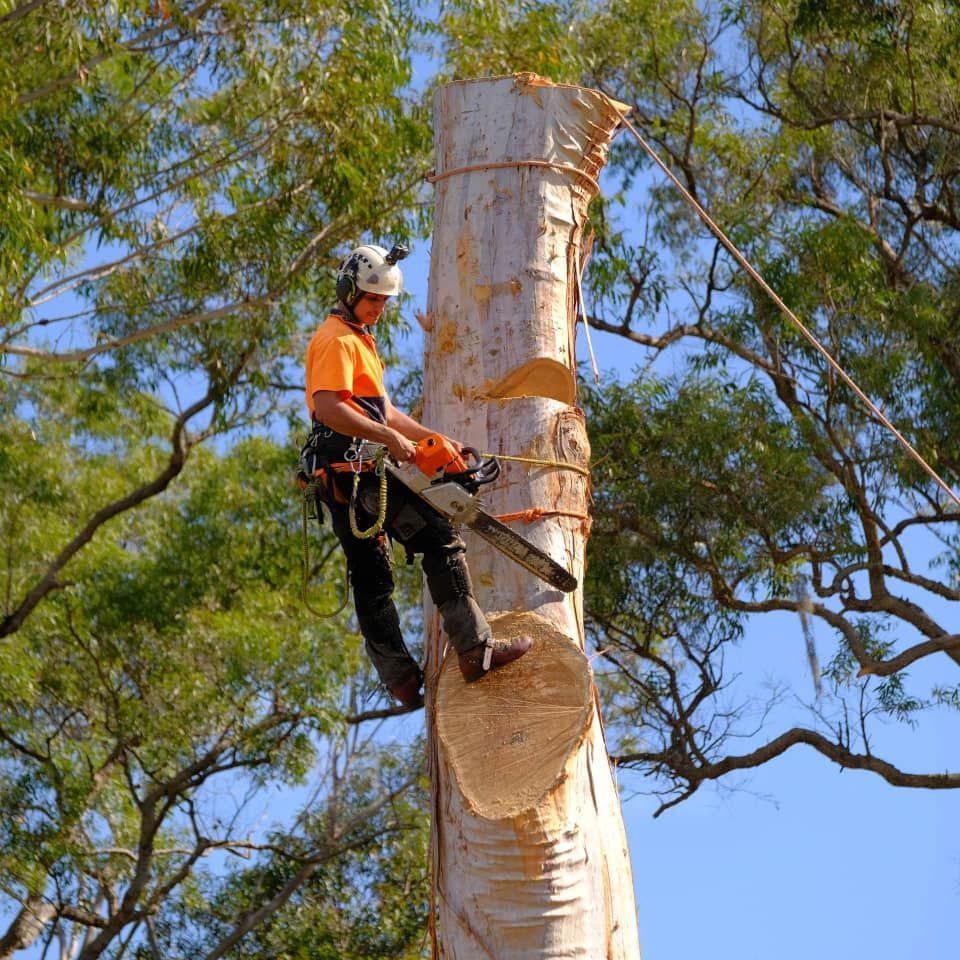 tree arborist turning on a chainsaw