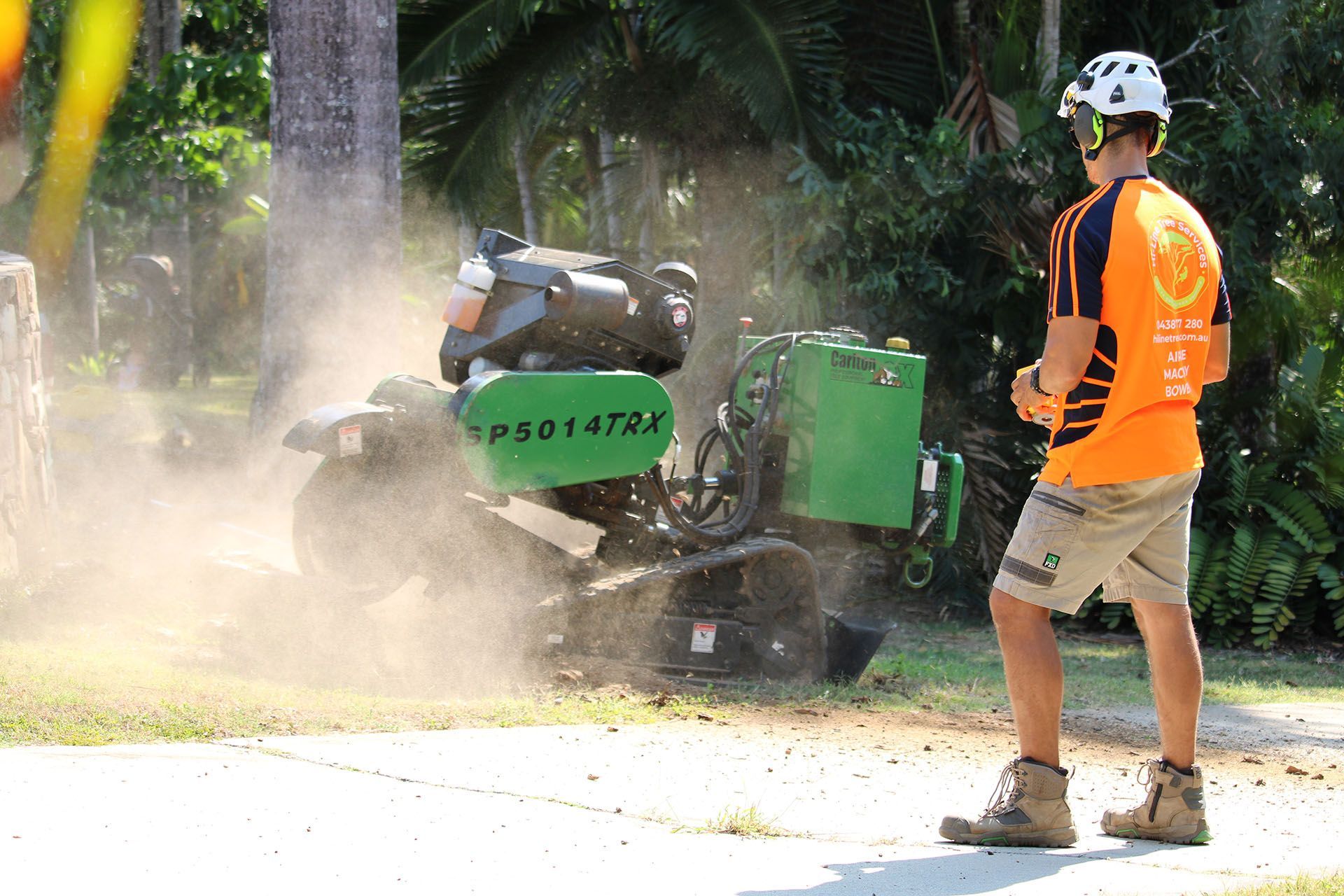 stump grinding