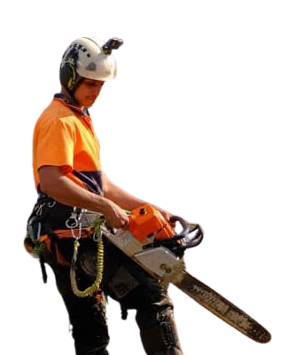 Hi-Line Tree Services team member