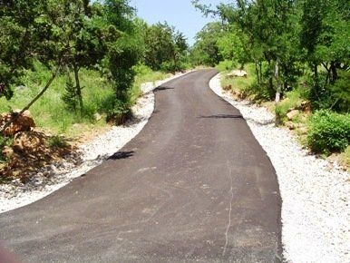 A road with trees on both sides of it