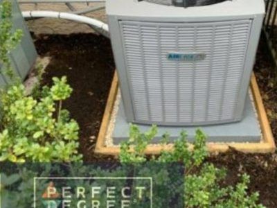 Air conditioner unit on a concrete pad surrounded by small plants.