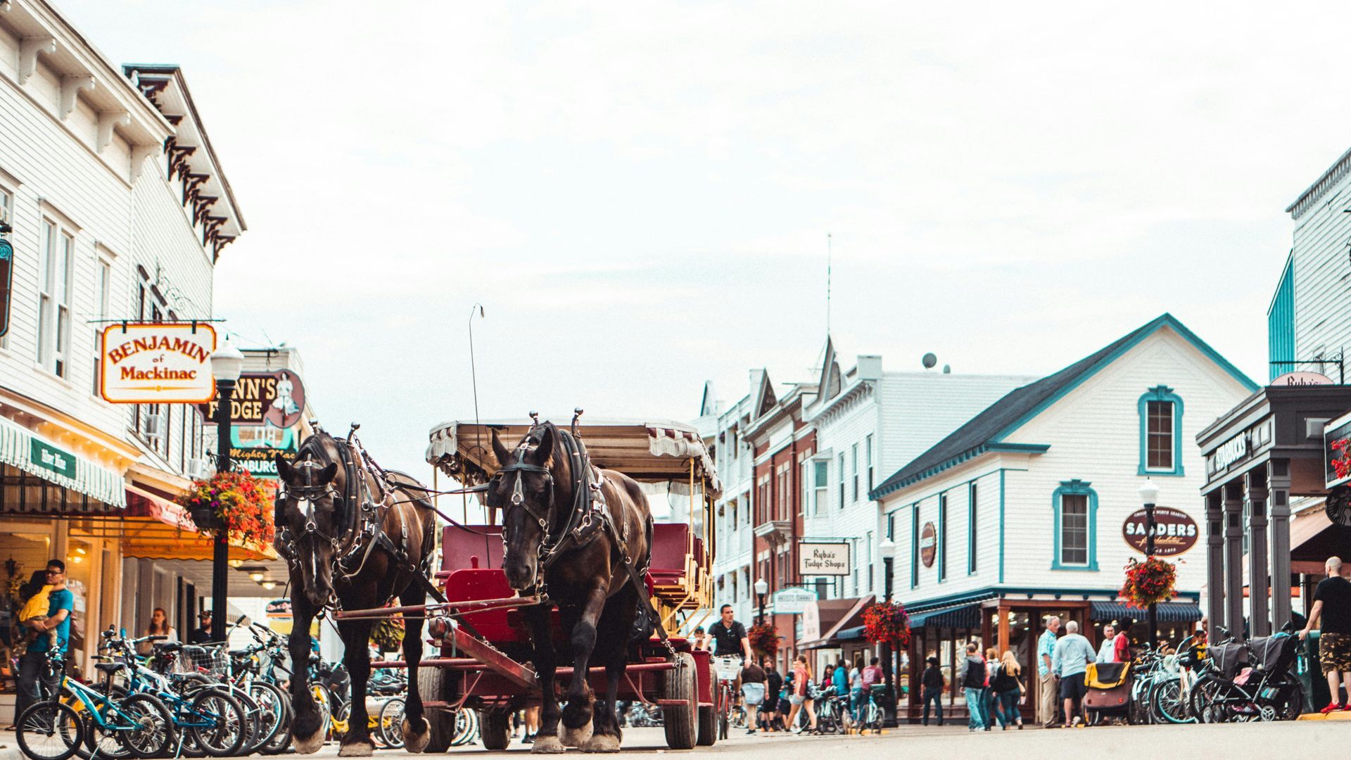 A horse drawn carriage is driving down a city street.