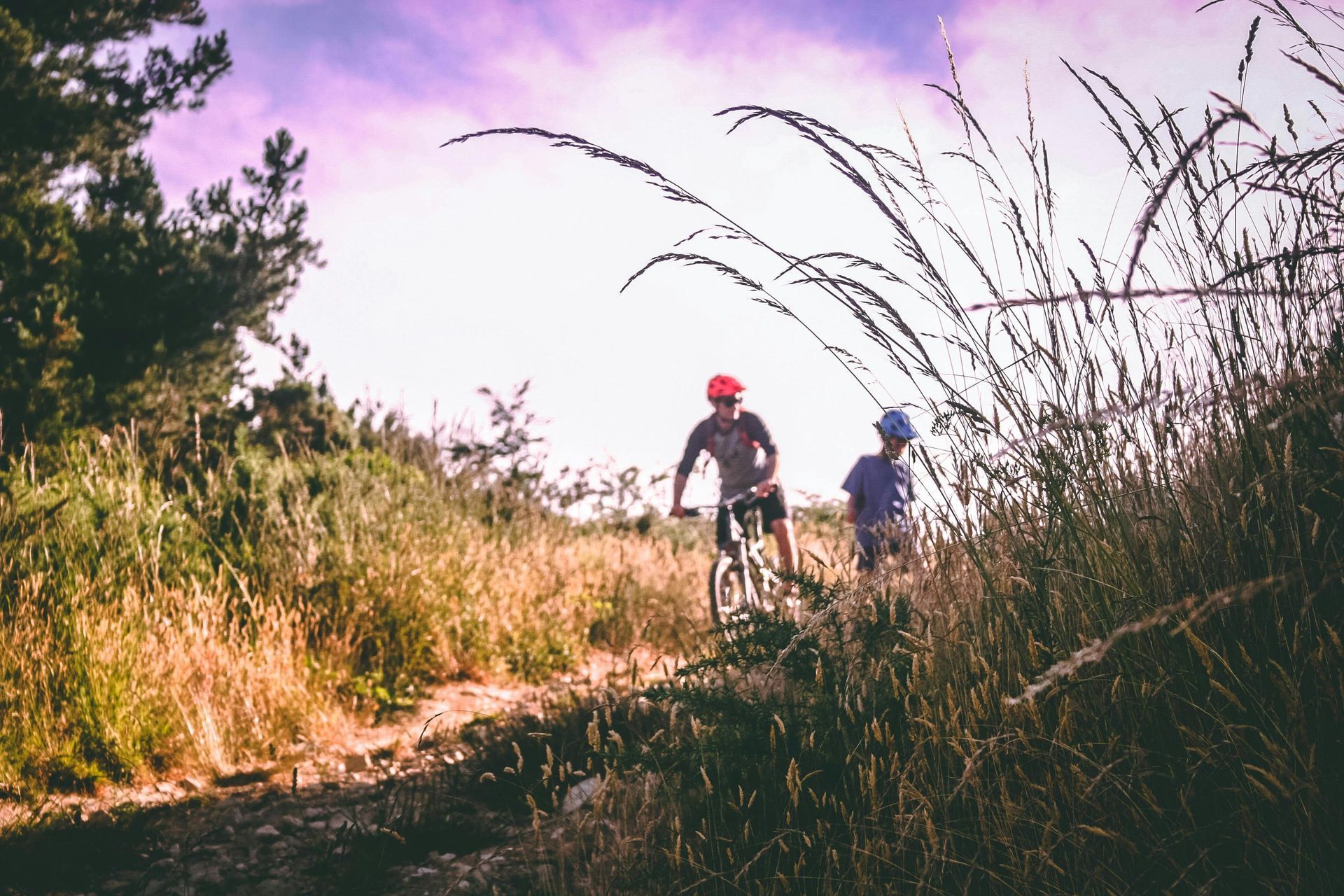 A man and a child are riding bikes on a trail.