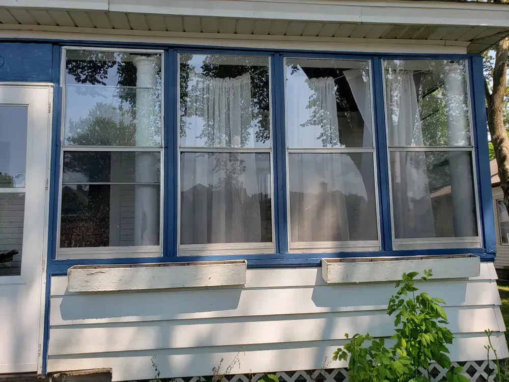 Blue-trimmed windows on a white house with white curtains and flower boxes. Green plant in foreground.