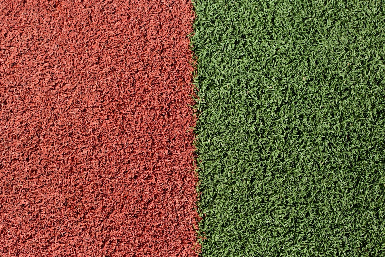 Different Colors of Grass and What they Mean? | Lawngevity