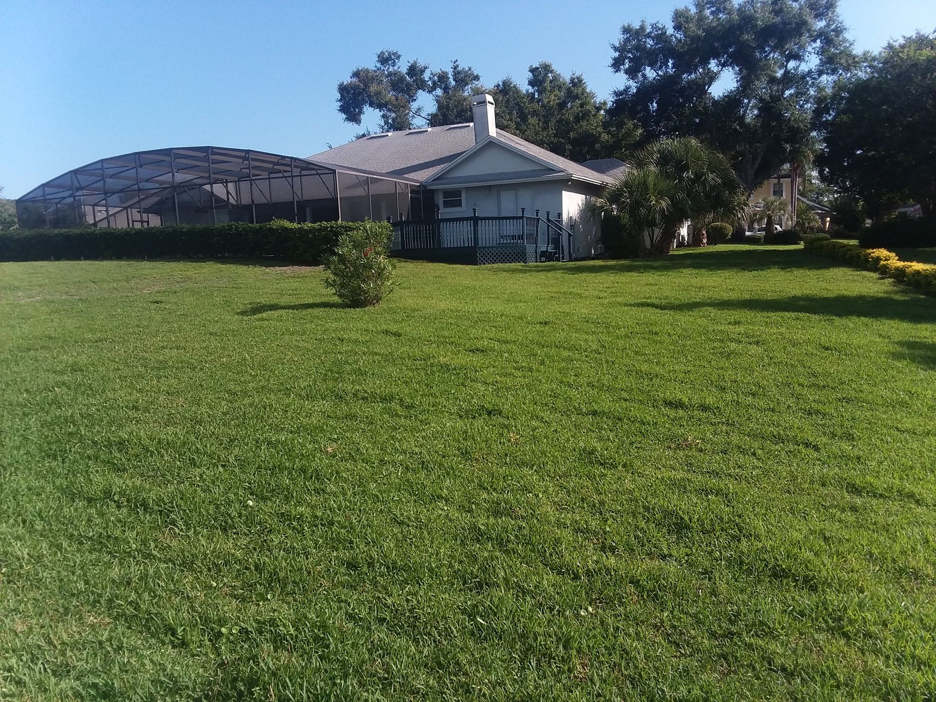 A lush green field with a house in the background