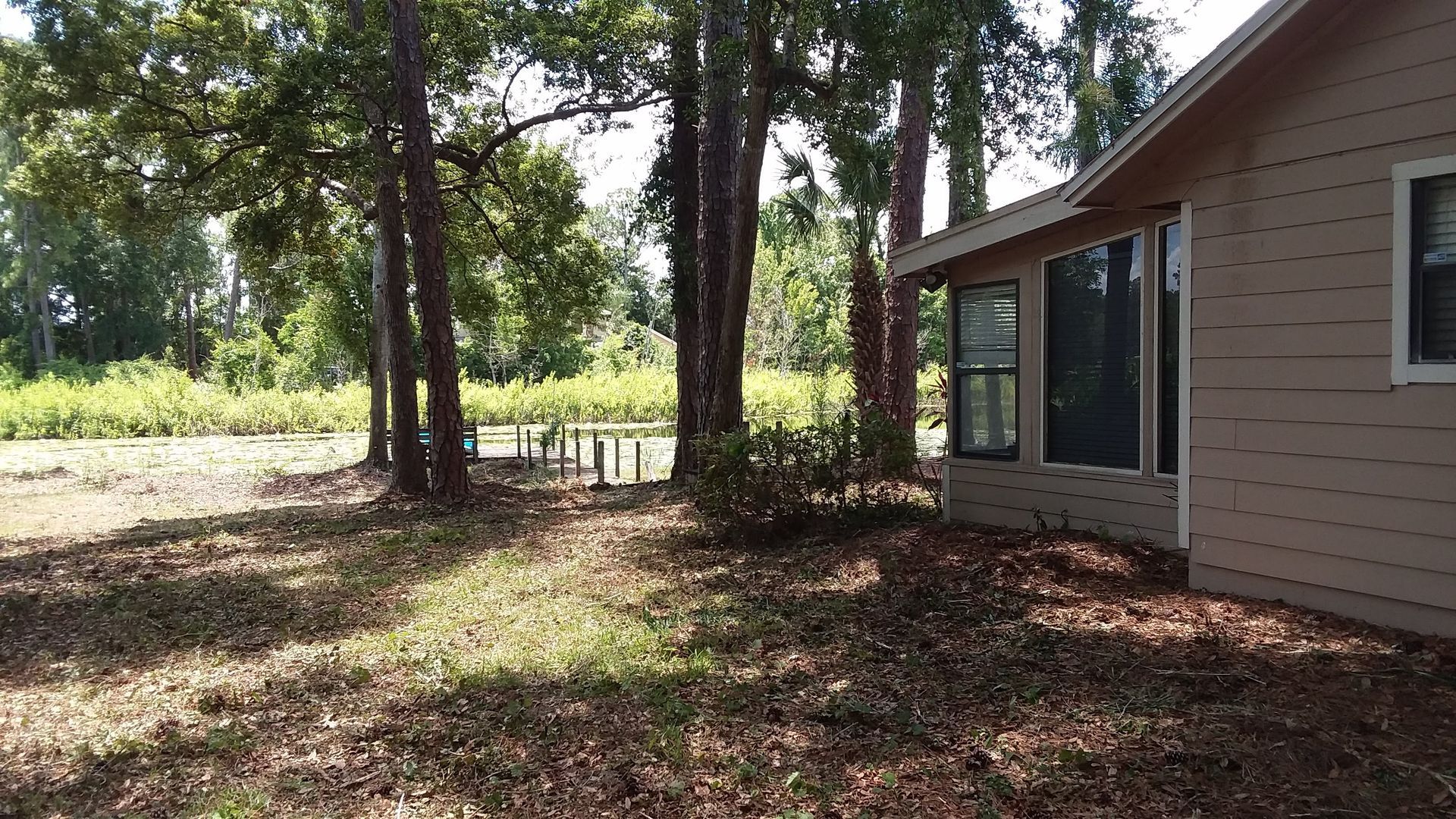 A house with a lot of windows is surrounded by trees