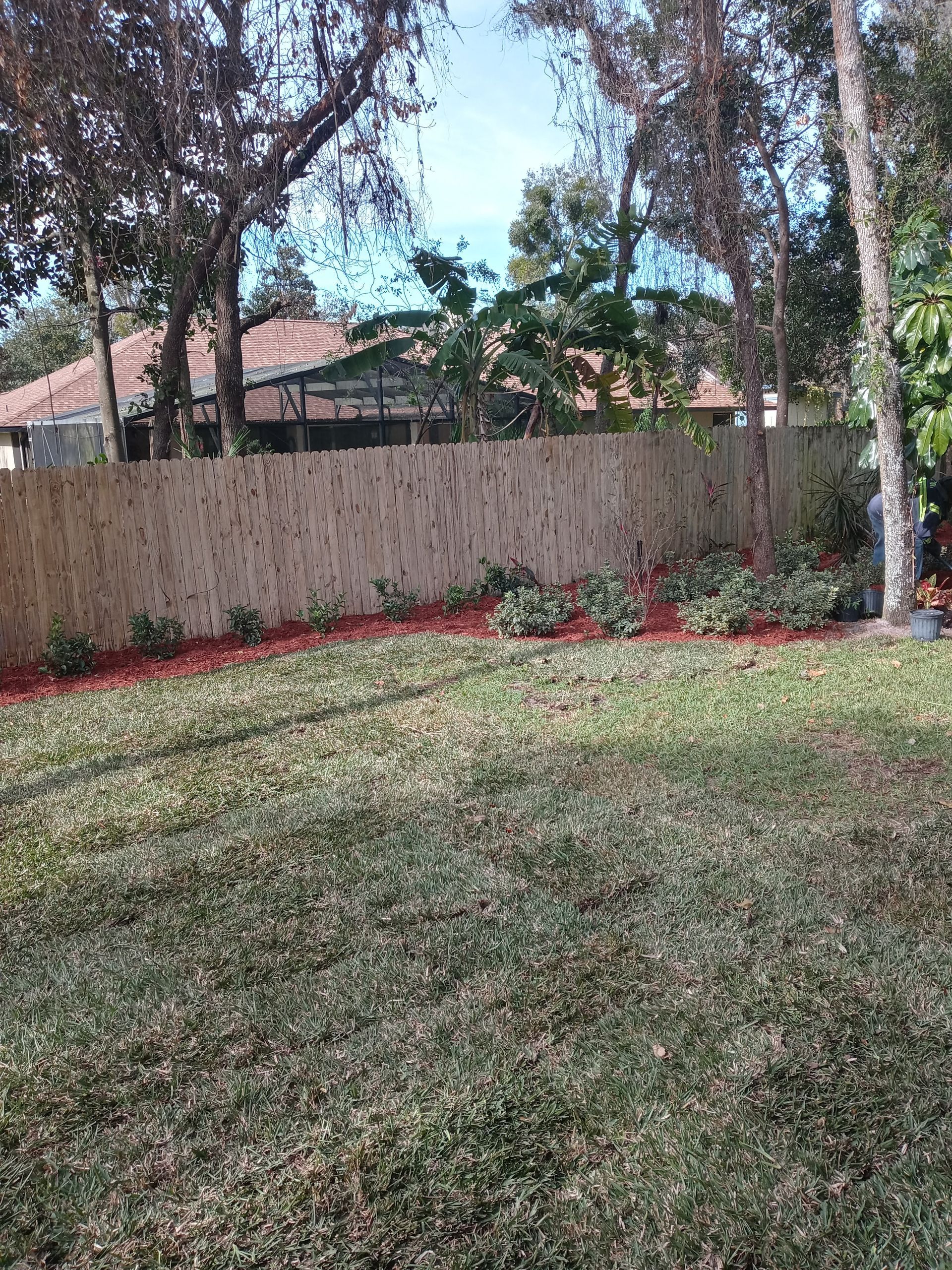 A lush green yard with a fence and trees in the background.