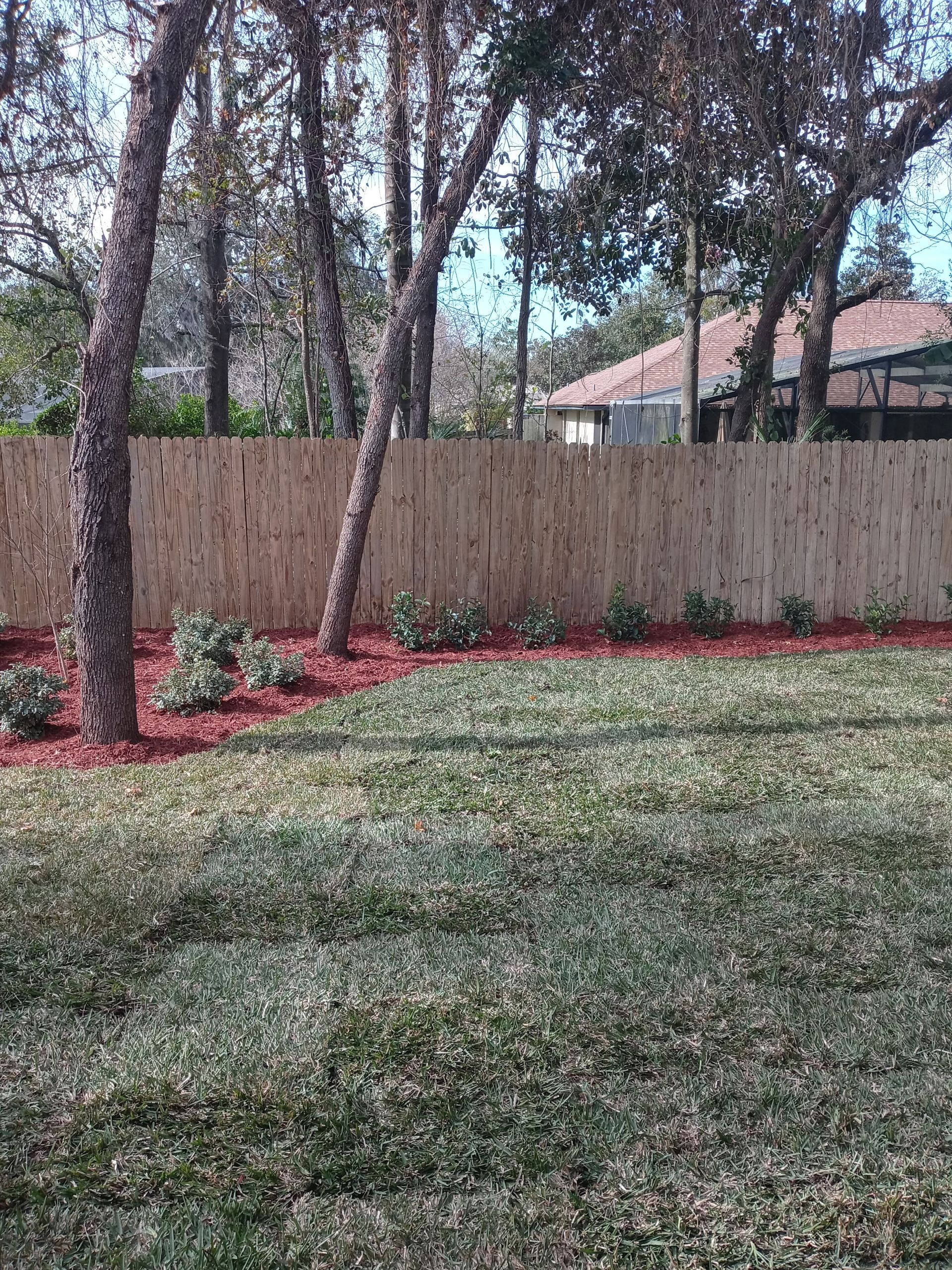A backyard with a wooden fence and trees in the background.