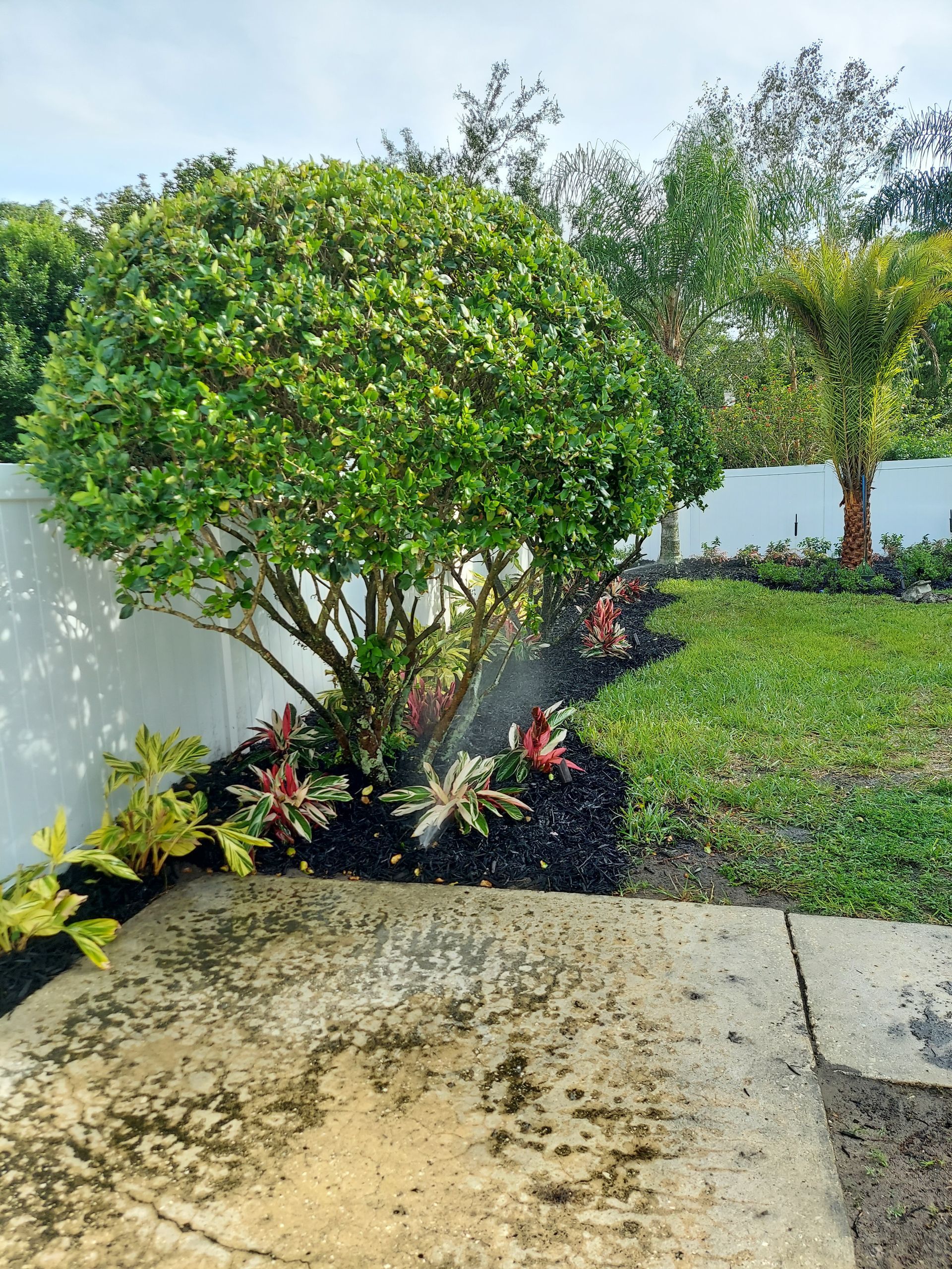 There is a tree in the middle of the garden.