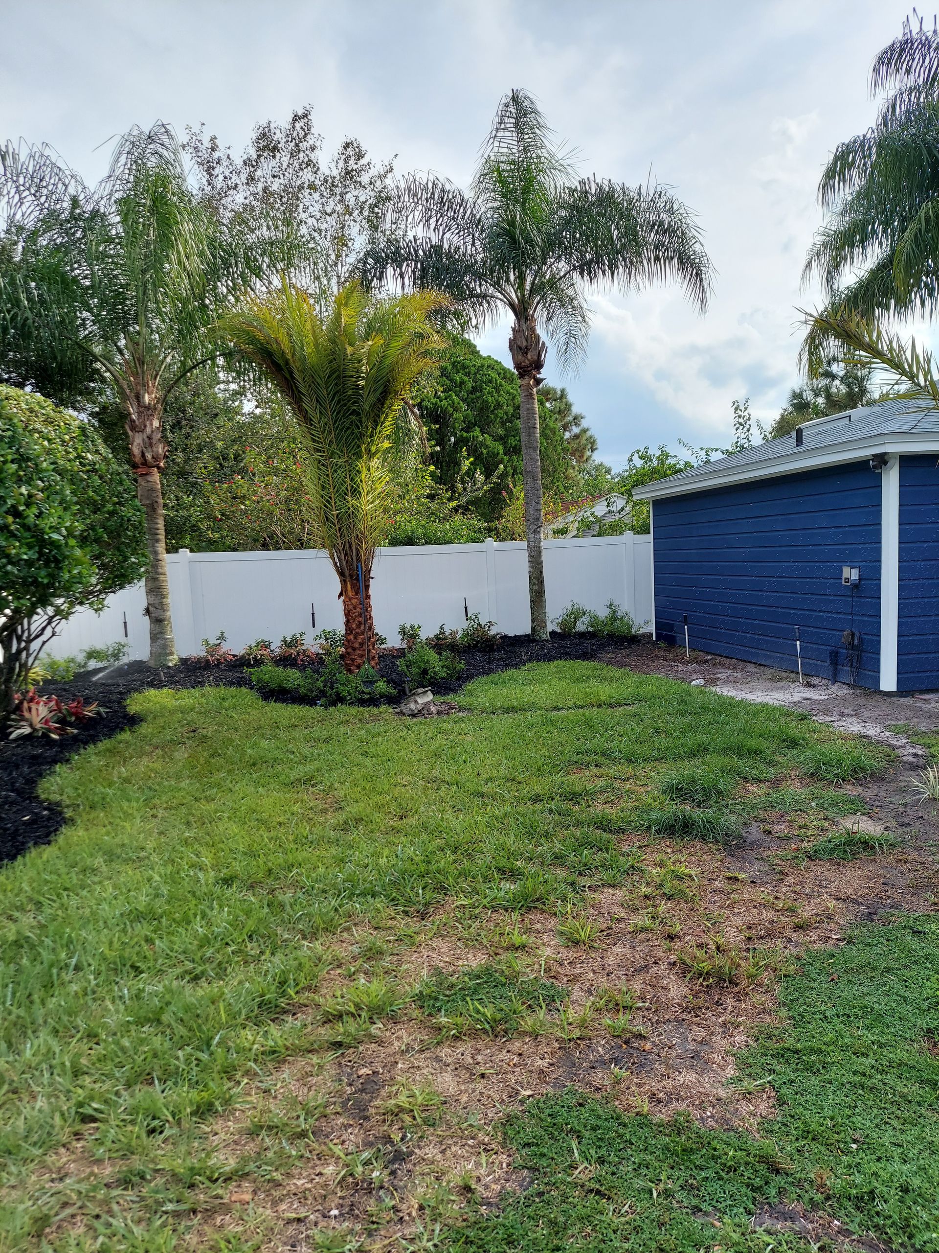 A lush green yard with a blue garage and palm trees.