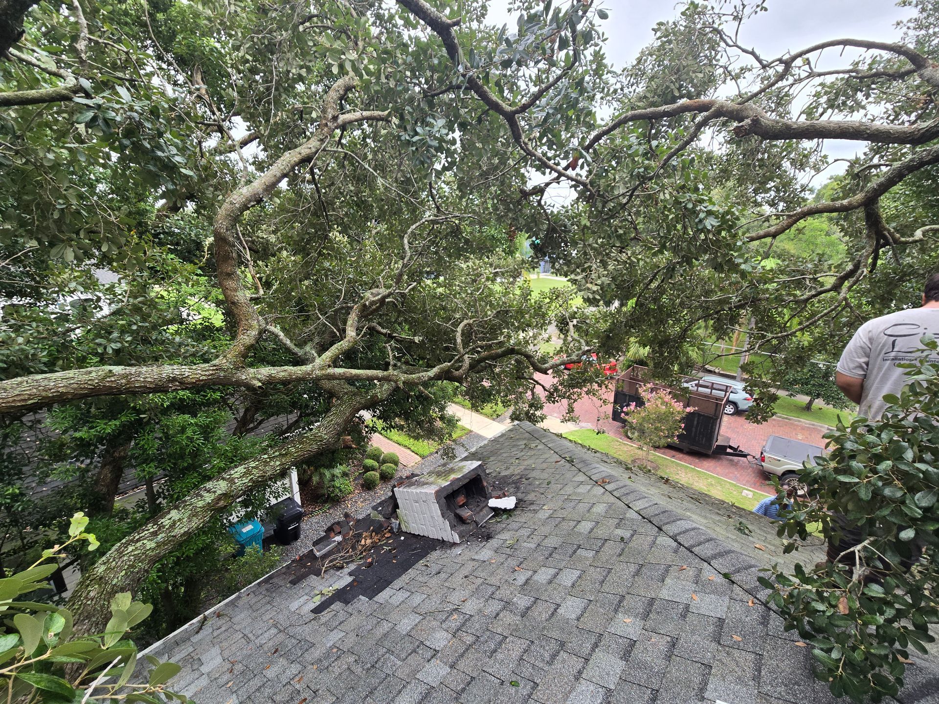 A tree has fallen on the roof of a house.