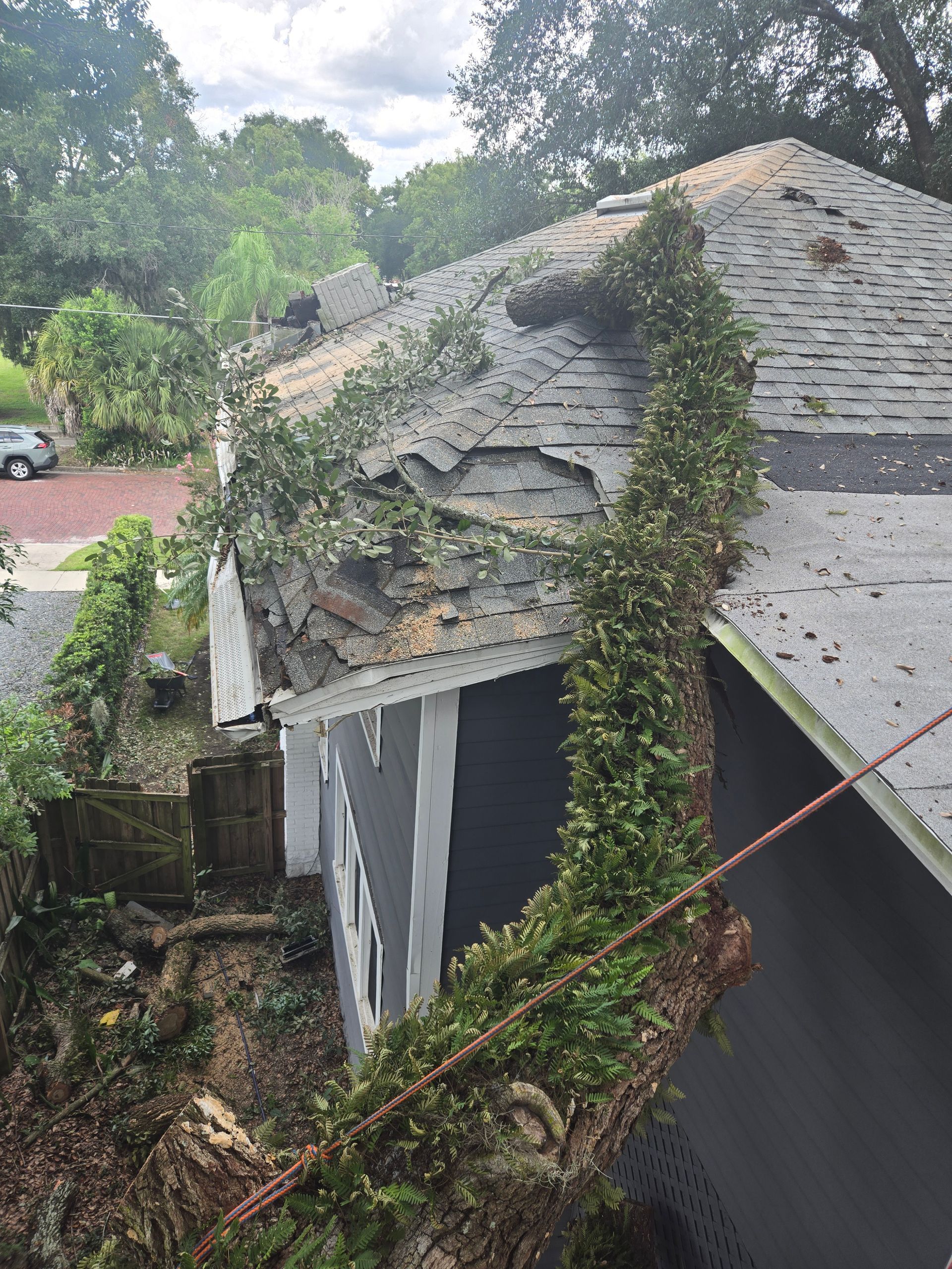 A tree has fallen on the roof of a house