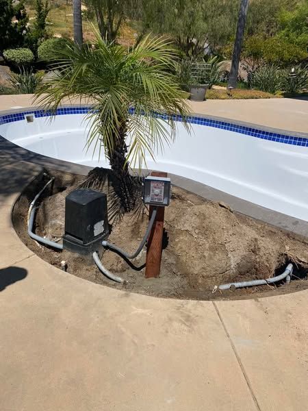 A swimming pool with a palm tree in the middle of it.