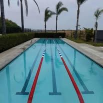 A large swimming pool with red and white lanes and palm trees in the background.