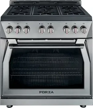 A stainless steel stove top oven with four burners and a glass door.