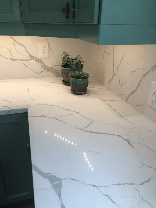 A kitchen counter with two potted plants on it.
