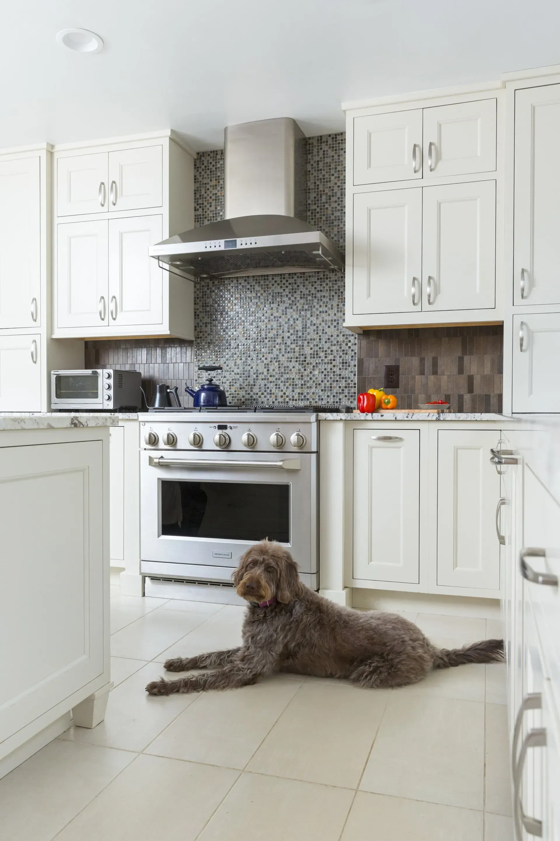 A dog is laying on the floor in a kitchen next to a stove.