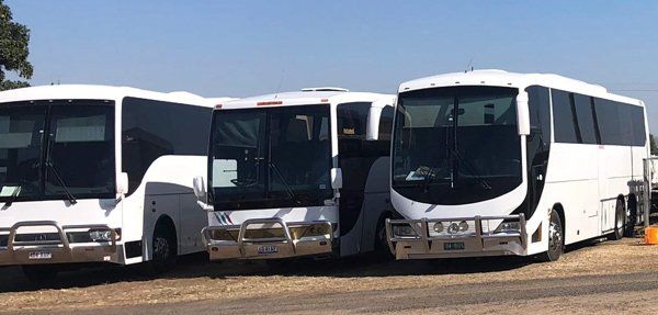 tour buses