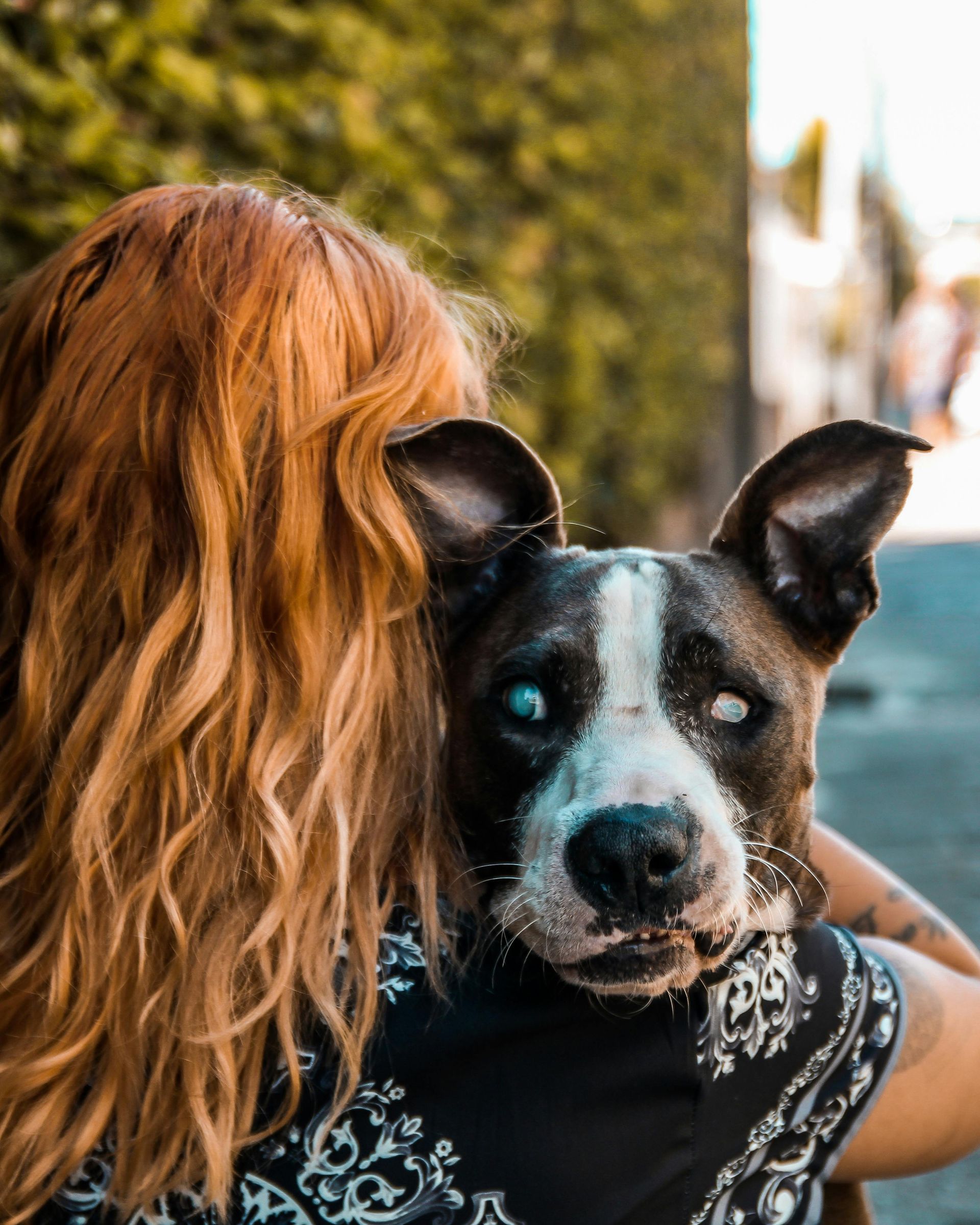 Woman with red hair holding a dog with white and black fur and cloudy eyes. They are outdoors on a paved area.