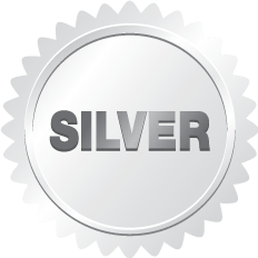 The Chamois Silver Wash Logo